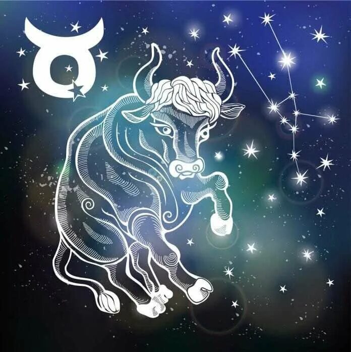 Созвездие Taurus - Телец. Таурус знак зодиака. Телец знак зодиака Taurus. Знак зодиака Телец рисунок. Ретроградный телец