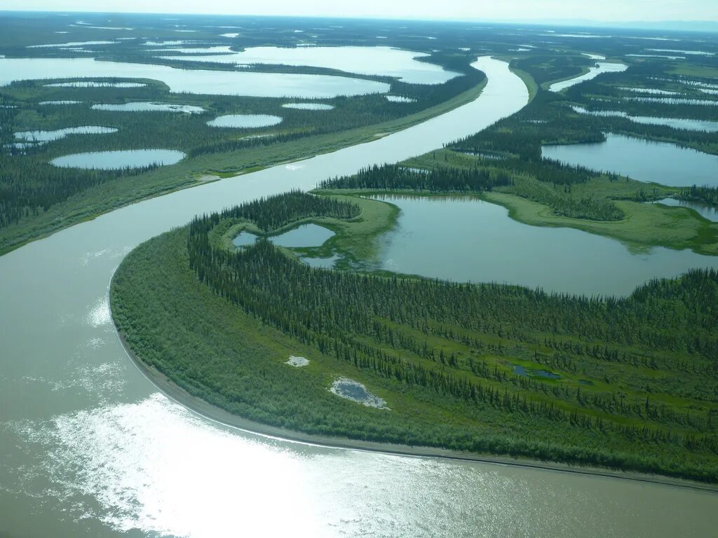 Какая река является самой длиной в мурманской. Северная Америка река Маккензи. Устье реки Маккензи. Река Маккензи Канада. Бассейн реки Маккензи.