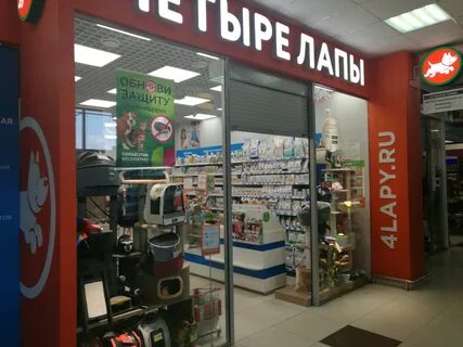 Четыре лапы липецк