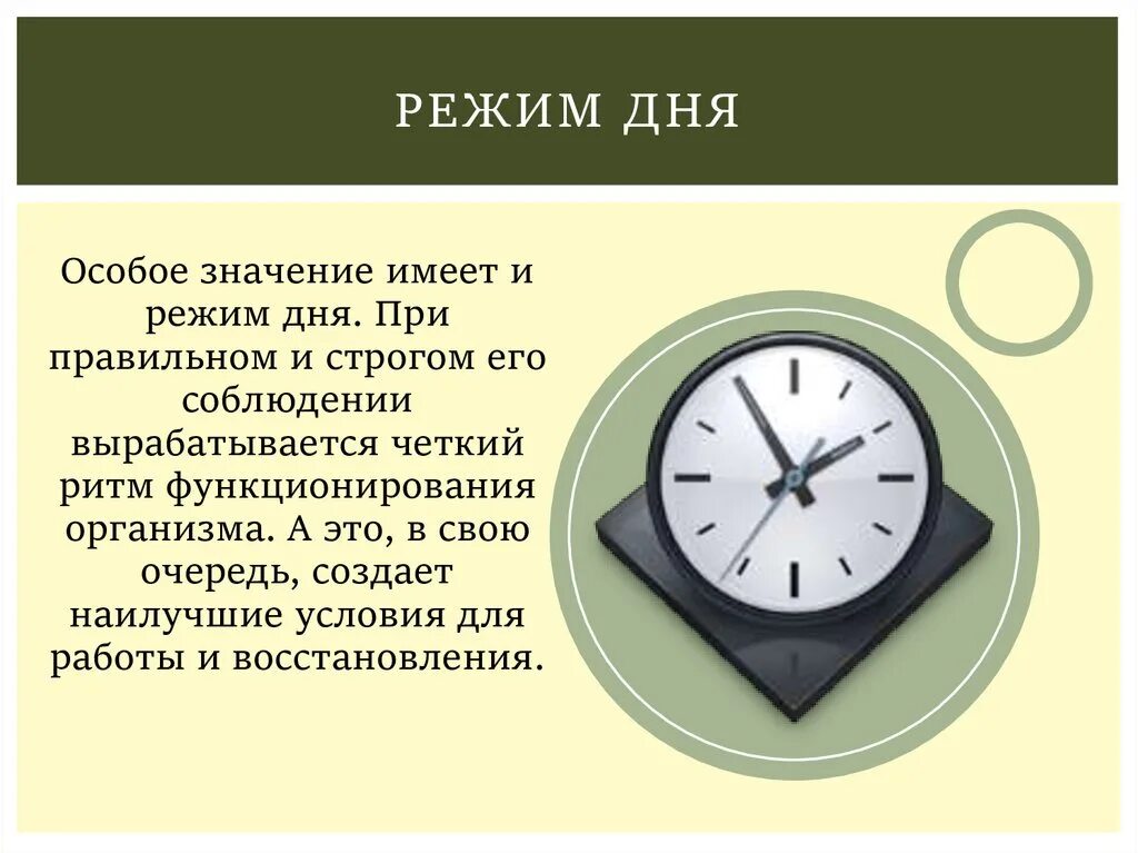 Значение режима дня человека. Режим дня одинокого человека. Распорядок дня великих людей. Режим дня человека. Распорядок дня одинокого человека.