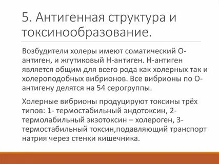 Строение возбудителя