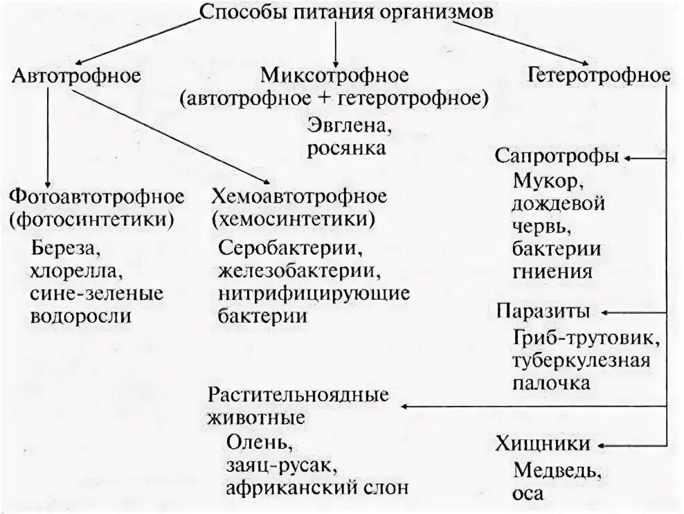 Процессы питания живых организмов. Типы питания живых организмов. Схема способы питания живых организмов. Типы питания живых организмов таблица 6 класс биология. Типы питания живых организмов таблица.