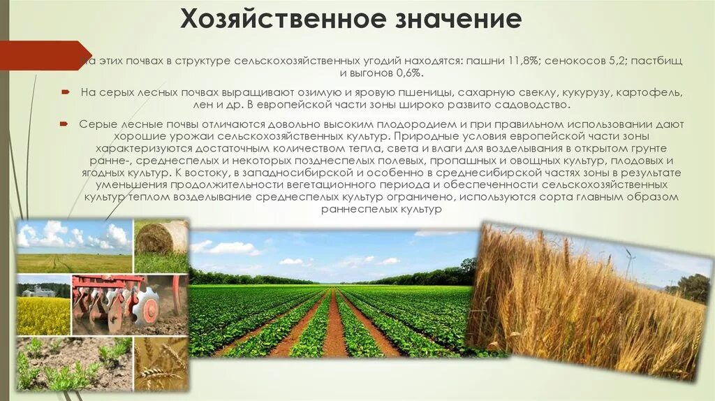 Сообщение на тему культурные растения сельскохозяйственных угодий