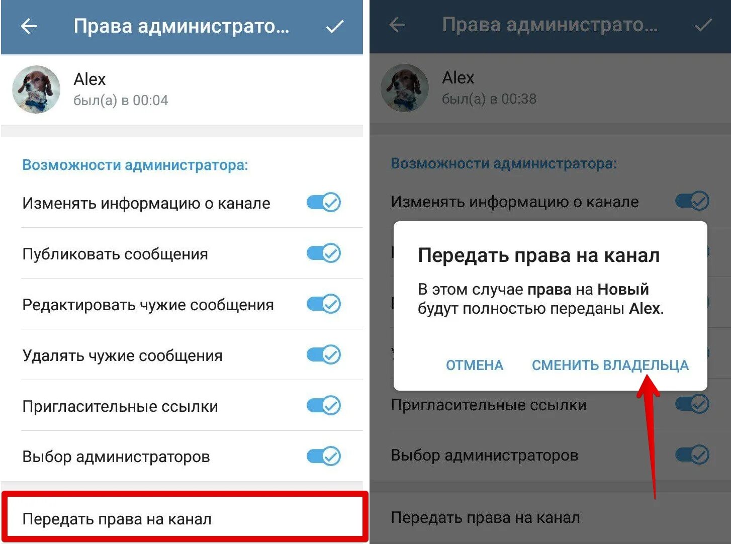 Как передать владельца в тг. Передача прав групп в телеграме.