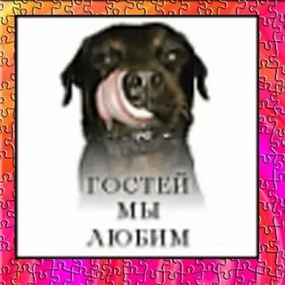Если не люблю гости