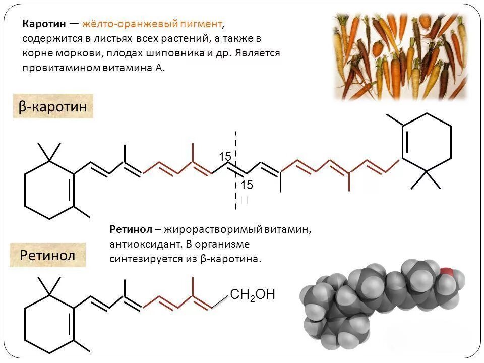 Пигмент каротиноиды. Строение бета каротина. Каротиноиды предшественники витамина. Каротиноиды в моркови формула. Каротин формула химическая.