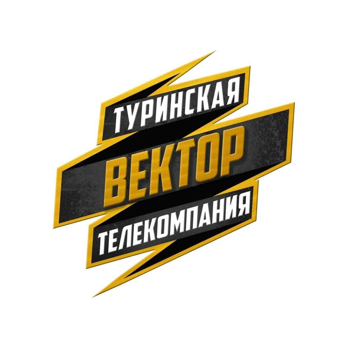 Телекомпании вектор. Вектор Туринская Телерадиокомпания. Вектор Туринск. ТВ вектор Туринск. Туринский го логотип.