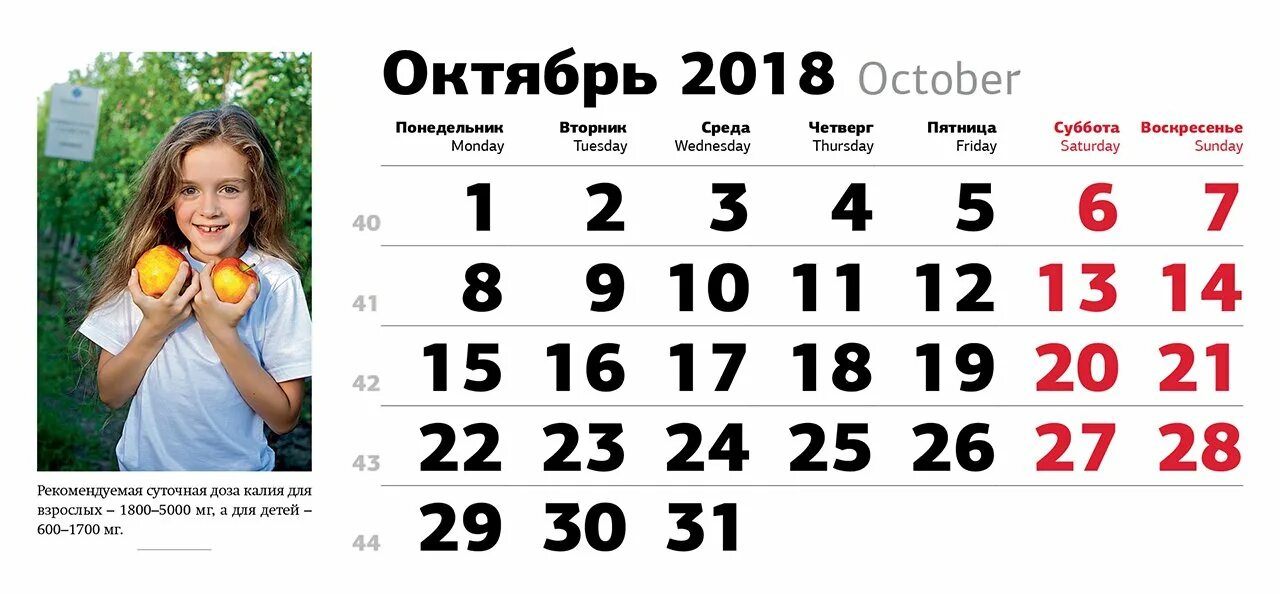 Октября 2023 цены. Календарь октябрь. Октябрь 2018 года календарь. Календарь октябрь 2018г. Календарь сентябрь октябрь.