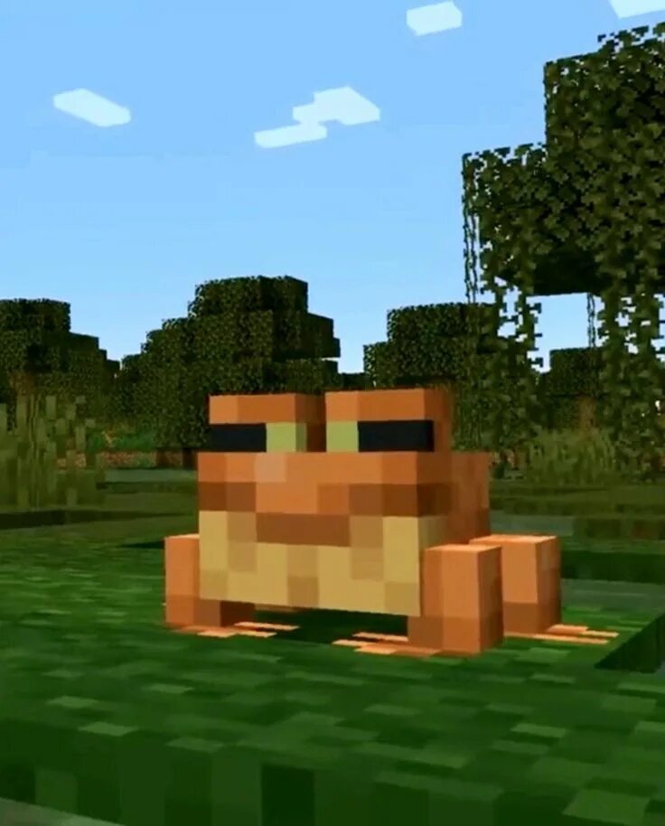 Frog mod minecraft
