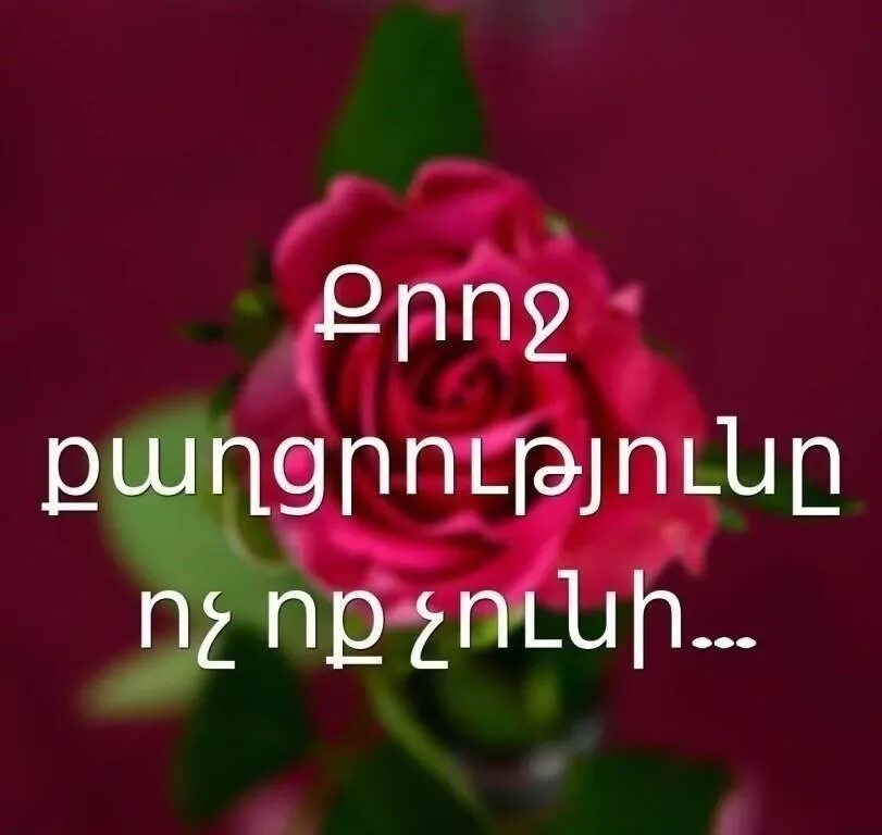 Люблю тебя на армянском русскими буквами. Пожелания на армянском языке. Поздравления с днём рождения на армянском языке. Открытки с днём рождения на армянском языке. Поздравления с днём рождения сестре по армянски.
