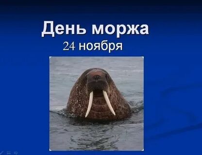 24 ноября это какой
