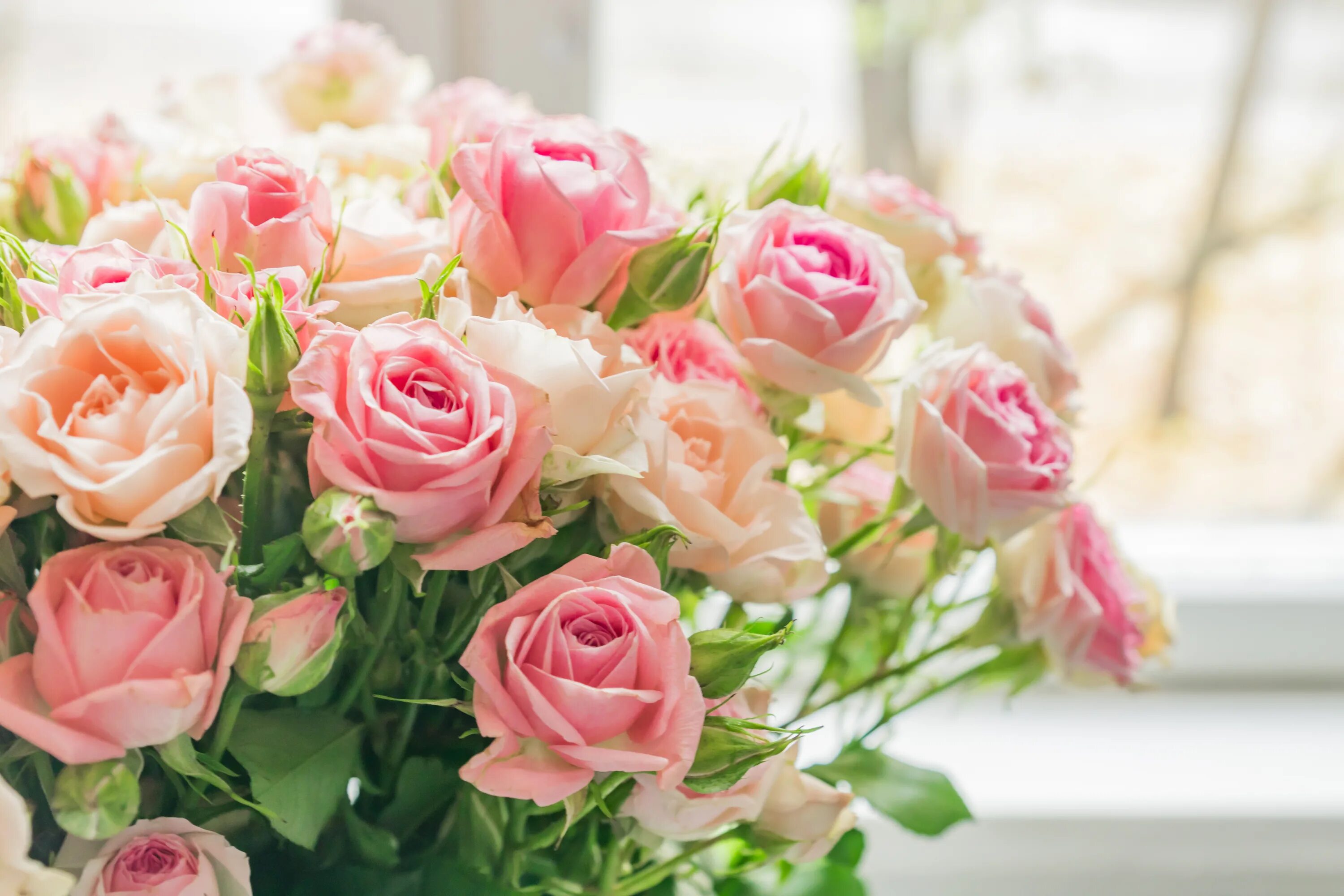 Картинка с цветами на столе. Нежные кустовые розы. Красивый нежный букет. Нежный цветок.