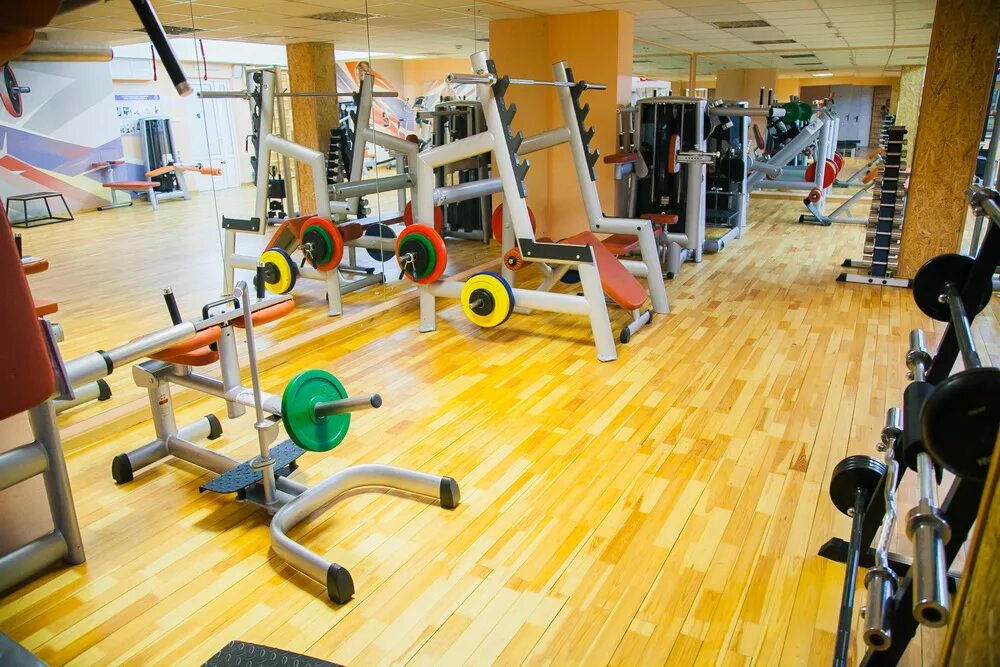 В тренажерном зале. Дворец водных видов спорта тренажерный зал. Technogym тренажеры. Дввс руза тренажерный зал. Спортзал охрана.