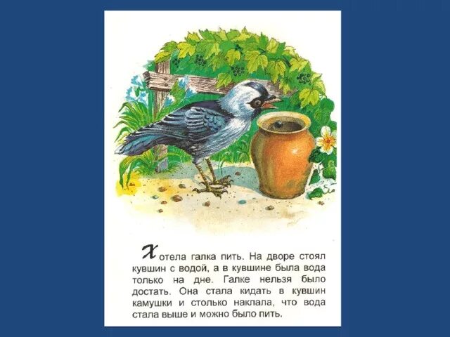 Хотела галка пить. Иллюстрации к рассказу л. Толстого Галка хотела пить. Толстой умная Галка. Л. Н. Толстого "умная Галка. Галка и кувшин толстой.