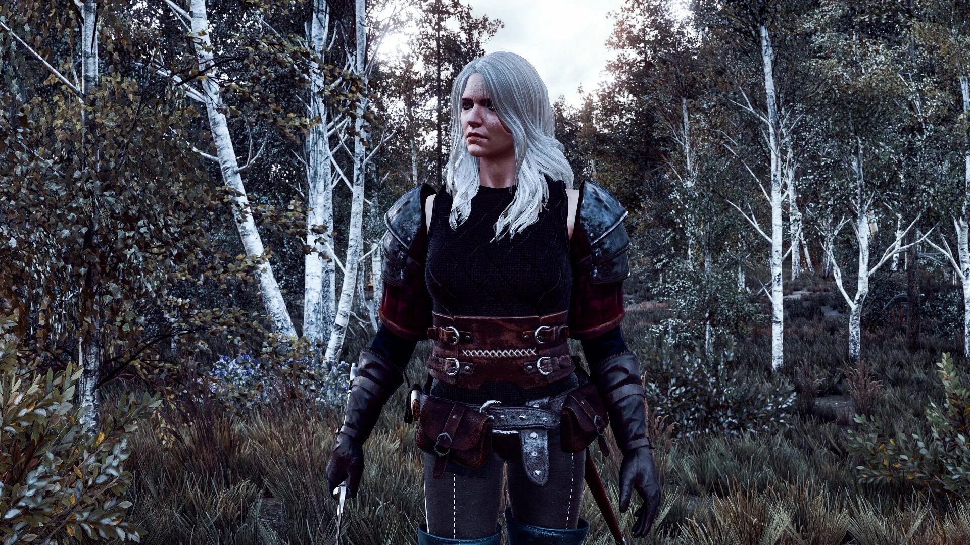 Ведьмак 3 девушка в дереве. Ciri witcher 3. доспехи цири ведьмак 3. броня цири из ведьмак 3 ведьмака. ведьмачья броня для цири ведьмак 3.