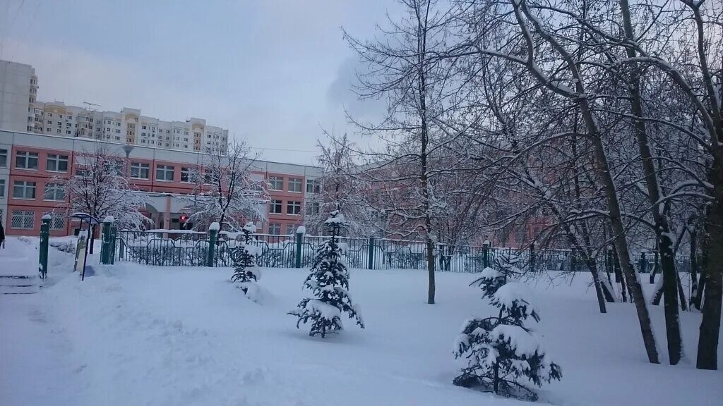 Школа 1363 выхино. Гбоу школа 1363 москва. Гбоу 709 москва. Школа 55 москва. Сайт школа 9 москва.