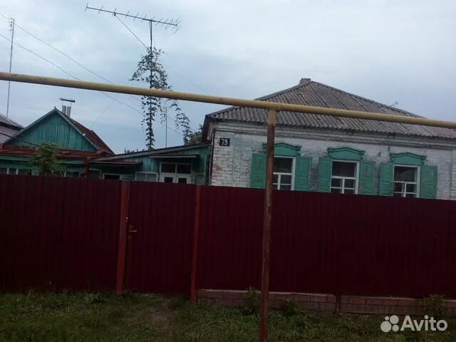 Авито митрофановка воронежская. Село талы улица центральная дом 54. Дом кудашевой митрофановка. Авито митрофановка воронежская. Воронеж обл.