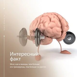 Уменьшение мозга