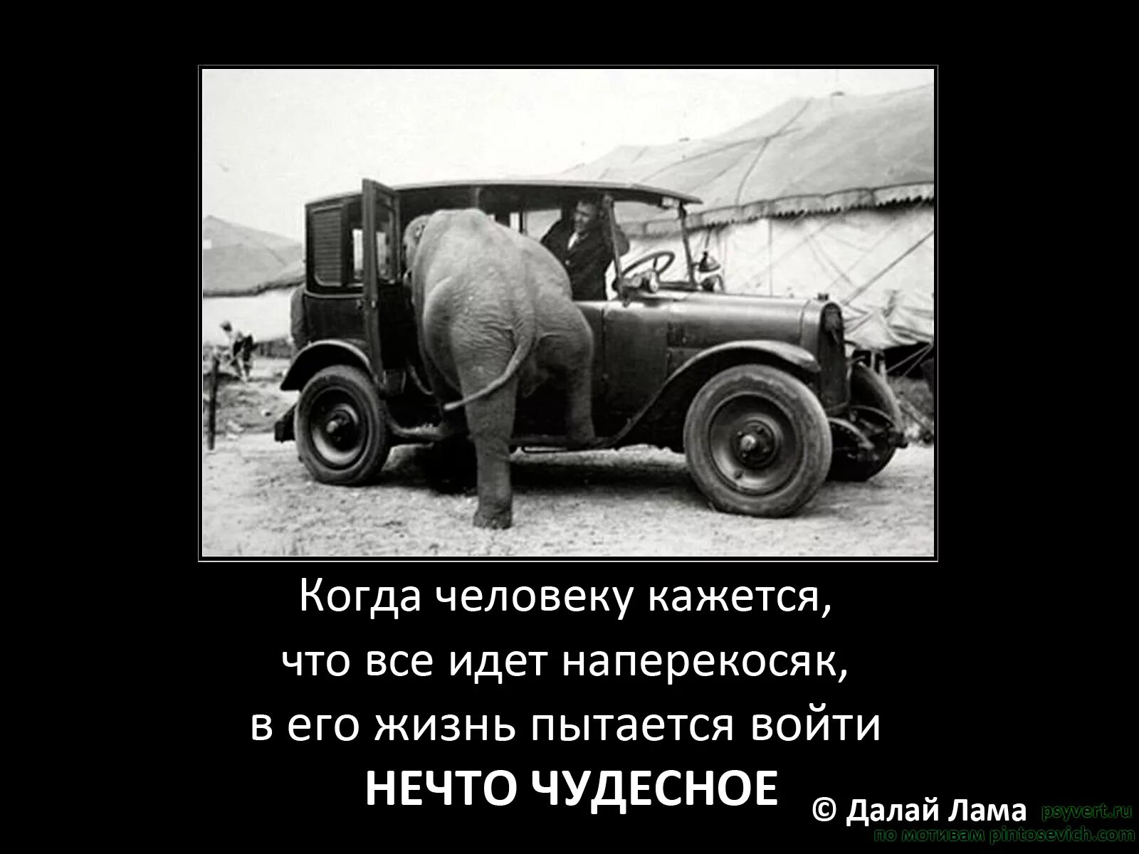 Когда все на ппрекосяк. Когда кажется что все идет наперекосяк. Когда в жизни все идет наперекосяк что значит. Человеку кажется.