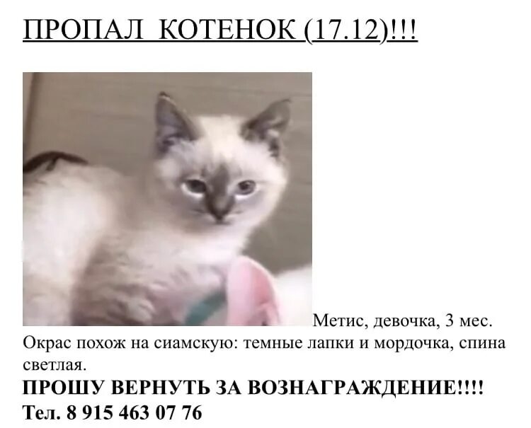 Автора нету