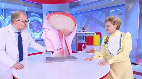 Жить здорово 16.11 2023