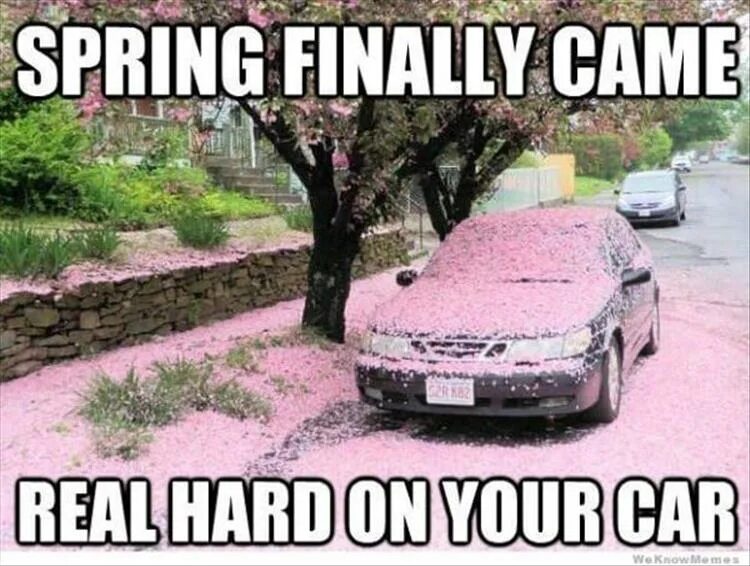 Spring comes перевод. Spring comes. Finally Spring. Memes about Spring.