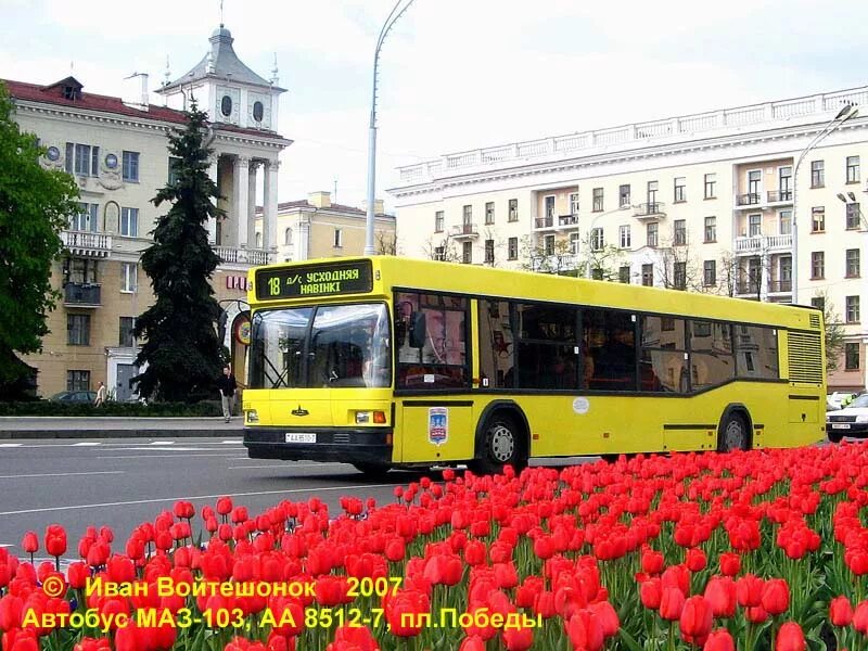маз 103. м белорусская автобусы. белорусские автобусы. лидские автобусы «неман. маз 103.