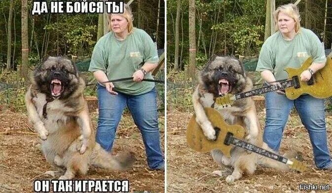 Не кусается не бросается. Не бойтесь он не кусается.