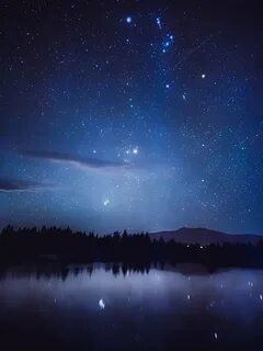 Күйеуі әйелін ойыншықтарымен және мүшесімен трахает