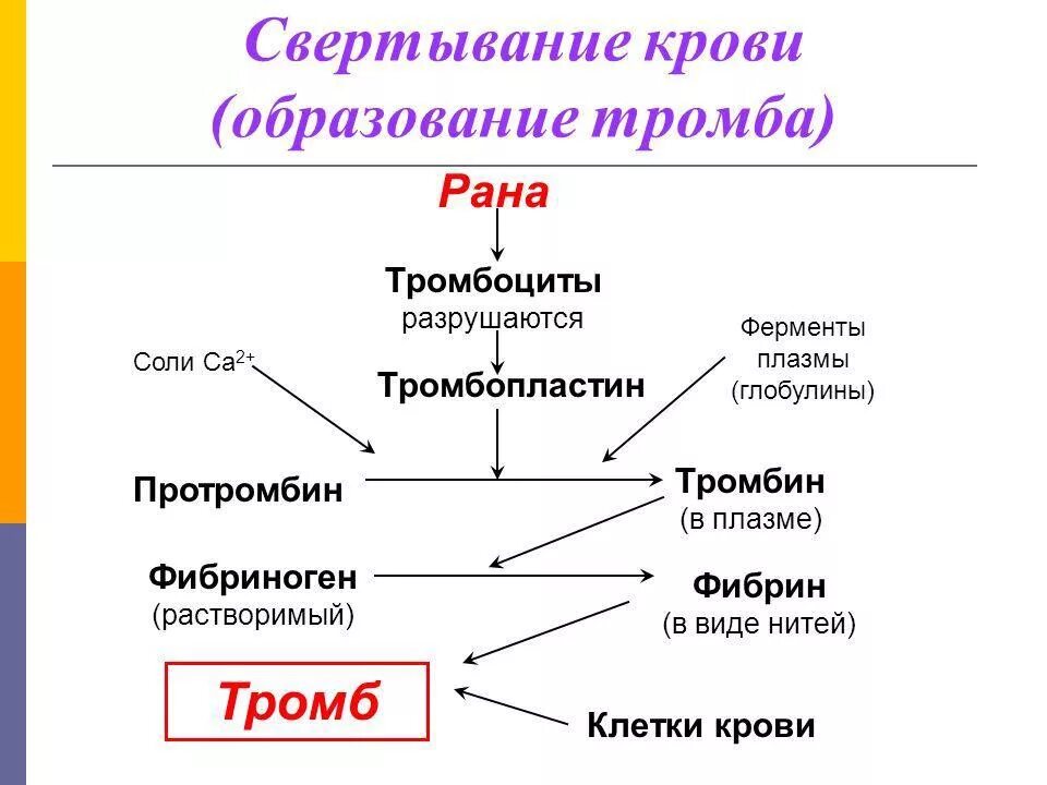 Свертывание текстовой информации