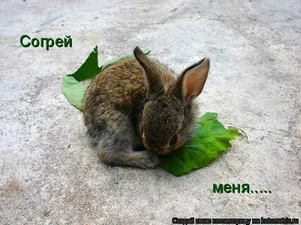 Согрей меня