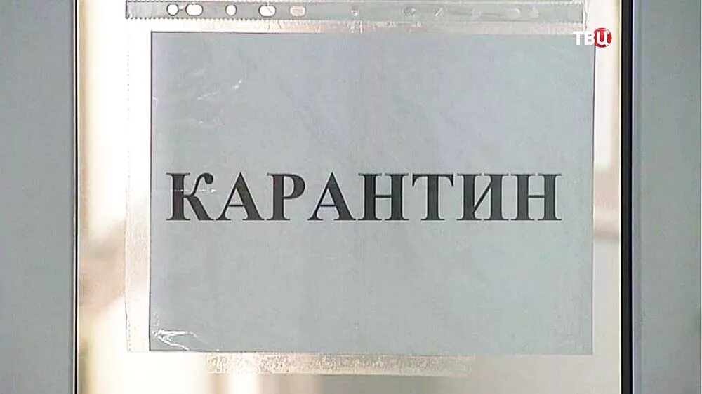 Карантин примеры. Карантин табличка. карантин надпись. вывеска карантин. карантин табличка на дверь.