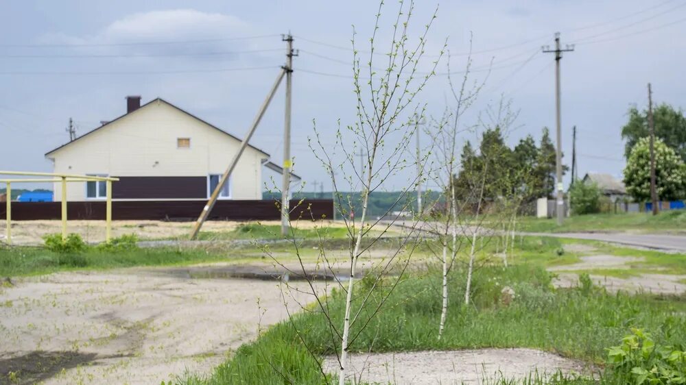 Работа давыдовка лискинский