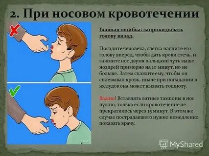 При кровотечении на голове необходимо