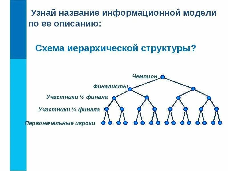 Информационная модель задачи. Имена графов. Создаѐм информационные модели – схемы, графы, деревья. Использование информационных моделей задачи с решениями графы. Тест информационные сети