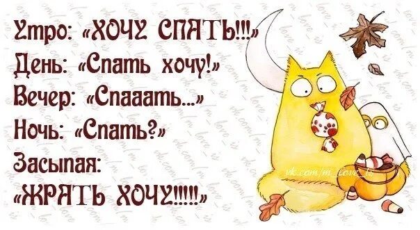 Как быстро перехотеть спать. Спать хочется. так хочется спать. хочется есть и спать. ночью надо спать.