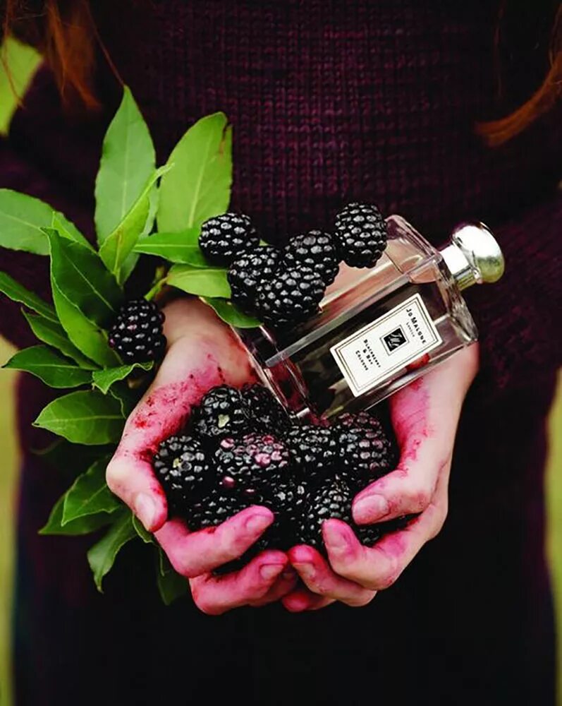 Jo malone blackberry bay cologne, 100 ml. Аромат blackberry. Аромат blackberry. Аромат blackberry. Jo malone blackberry & bay 100ml.