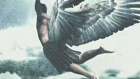 Fly angels