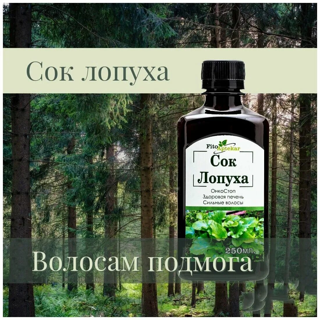 Сок лопуха москва. Сок лопуха москва. 100 мл. Сок лопуха для волос. Сок алфит лопуха майского фл.