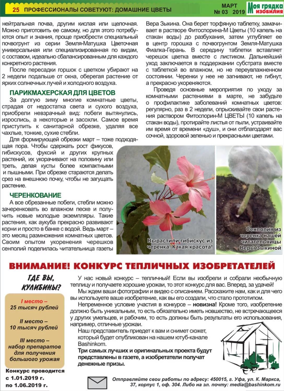 Какую почву любят растения. Комнатные растения с кислой почвой. комнатные цветы любящие кислую почву. слабокислый грунт для комнатных растений. грунт для гибискуса комнатного.