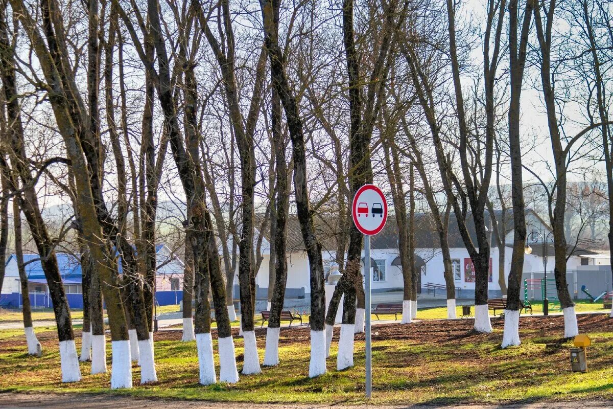 Село Кеслерово. Кеслерово открыли парк. Хутор Кеслерово. Парк село молдованское. Погода в кеслерово крымского