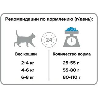 Сколько раз в сутки кормят кошек