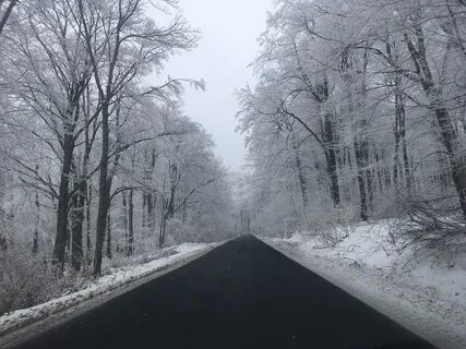 Погодные условия леса