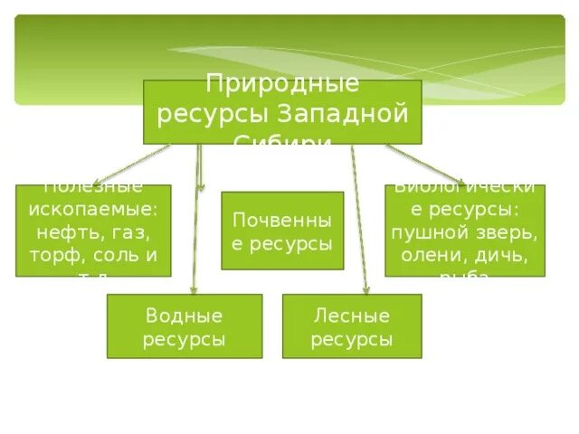 Сибирь богата природными ресурсами. Лесные ресурсы Западной Сибири таблица. Биологические природные ресурсы Сибири. Западная Сибирь природные ресурсы Лесные. Природные ресурсы Западной Сибири биологические.