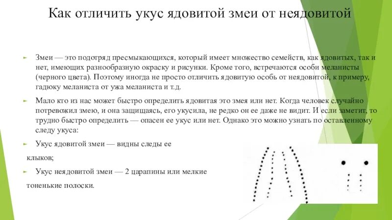 Как отличить ядовитые. Как отличить укус ядовитой змеи. Укус ядовитой змеи и неядовитой змеи. Укус ядовитой змеи от неядовитой.