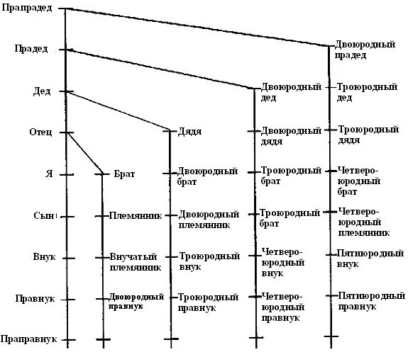 Отец дочь племянница. Родственные связи схема родства. Схема родства кто кому кем приходится таблица. Сын двоюродной сестры кем приходится. Двоюродный брат двоюродного брата кто мне приходится.