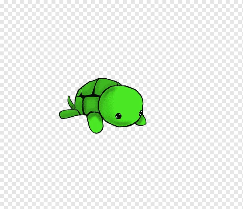 Картинки черепахи для срисовки. Нарисовать черепашку. Черепаха для срисовки. Маленькие Черепашки мультяшные.