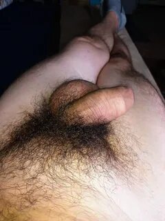 Watch nude bushy porn picture on category insanelyhairymen for free on www....