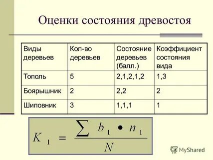 Дерево какое состояние