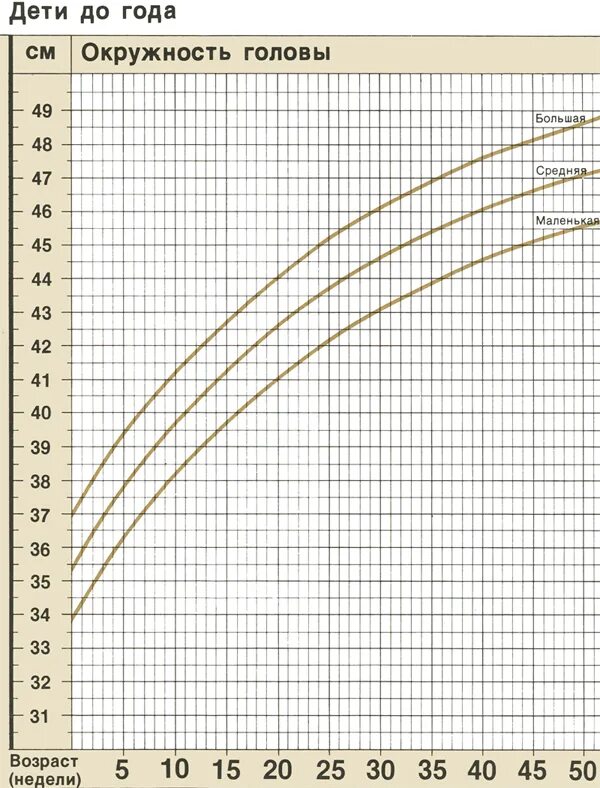Окружность головы по возрасту. График веса новорожденных. Нормы прибавки веса. График набора веса новорожденного. Окружность головы.